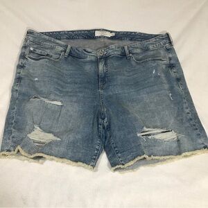 TORRID Stretch Distressed First is Fit Cut off Jean Shorts Size 26